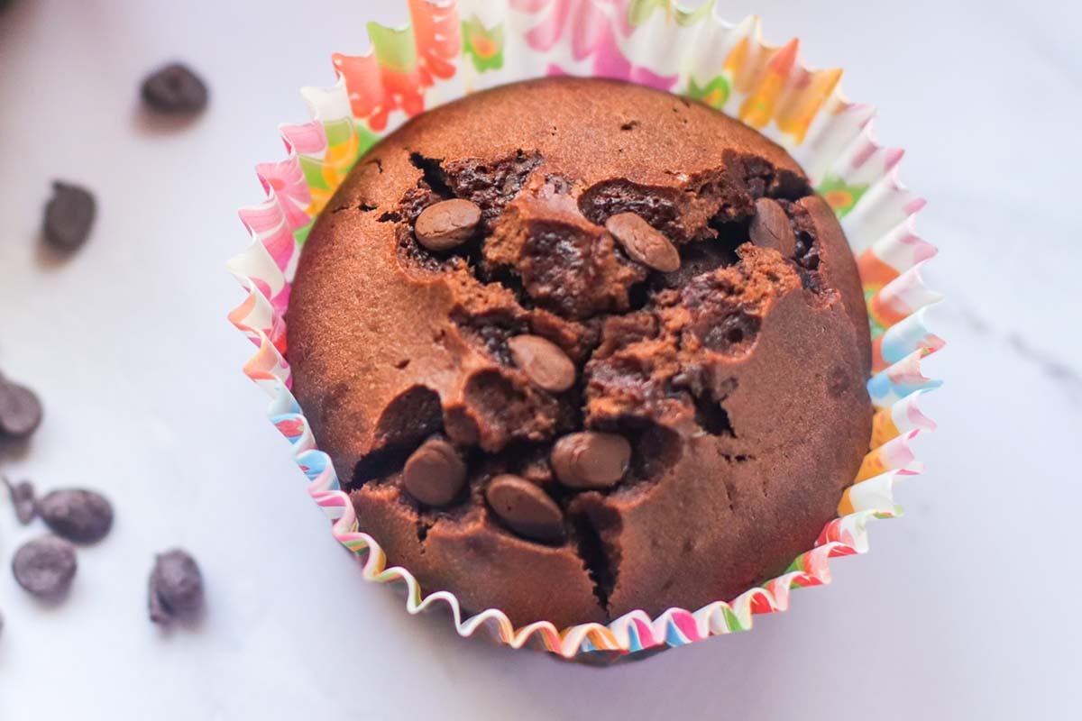 close up view of a chocolate muffin.
